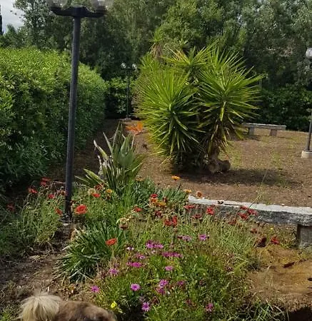 La Rosa Dei Venti Hébergement de vacances Alghero